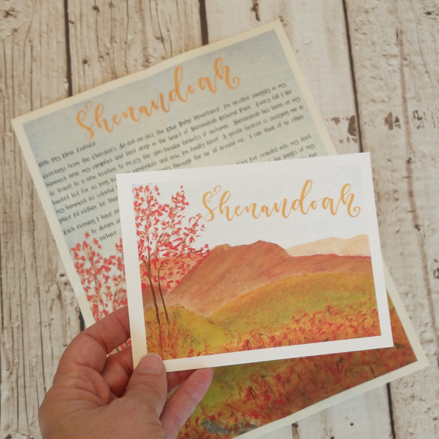 Shenandoah National Park for Kids