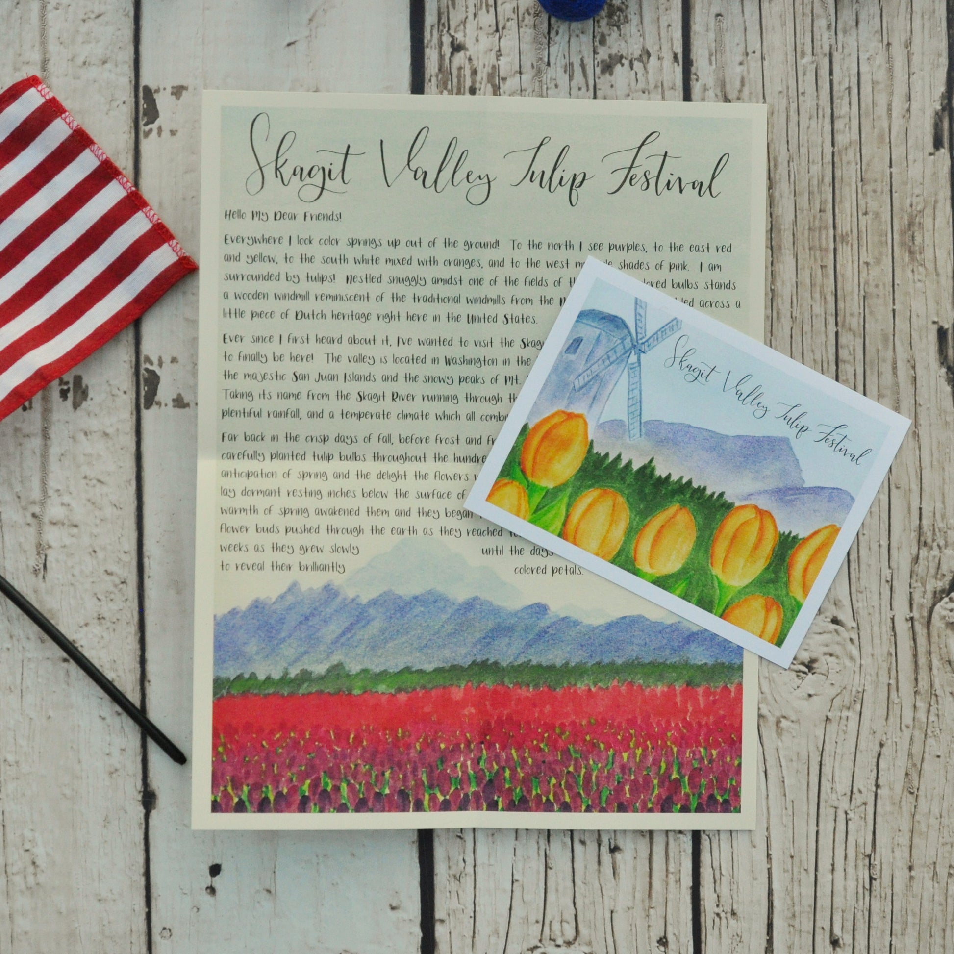 Skagit Valley Tulip Festival Washington