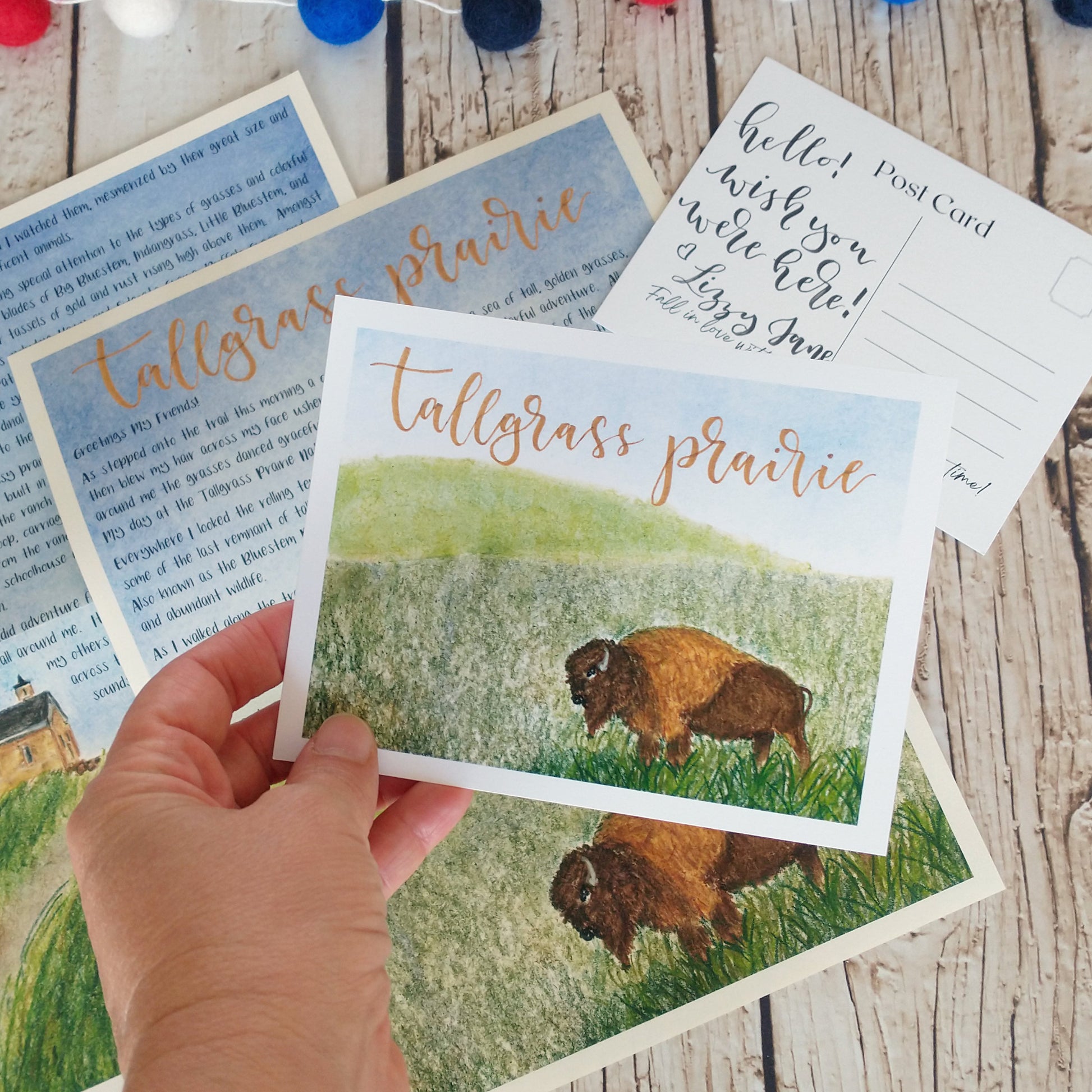Tallgrass Prairie Unti Study
