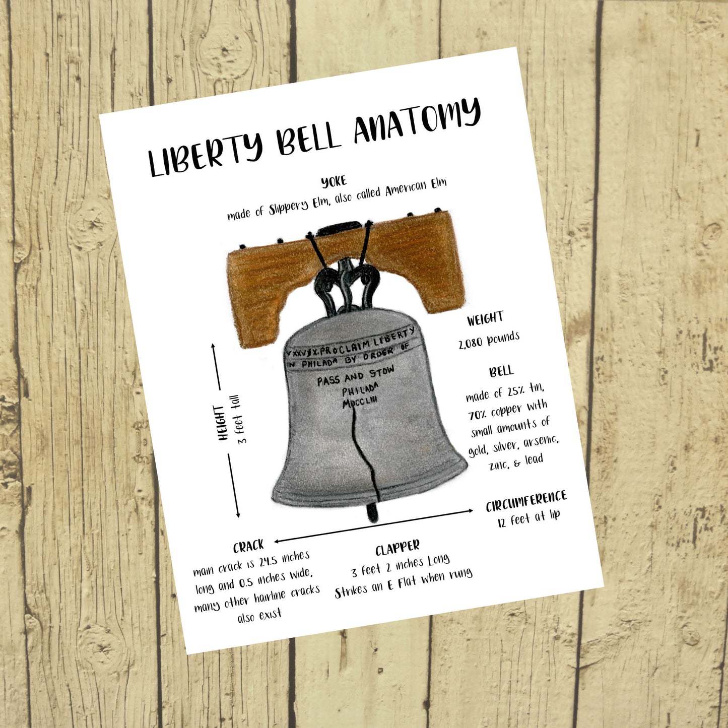 Liberty Bell Anatomy Poster
